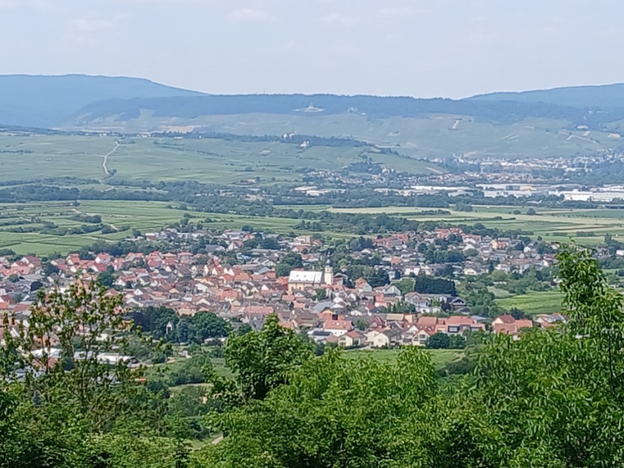 Blick auf Ockenheim Bild "KtK/KtK_2.jpg"